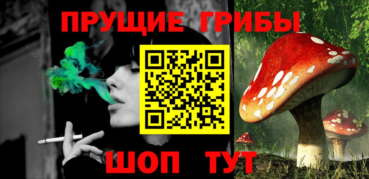 Галлюциногенные грибы Cubensis Йошкар-Ола